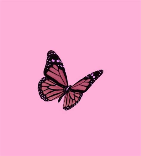 Pink Vibez💓 On Instagram Today Is Your Day 💖🦋 Butterfly Wallpaper