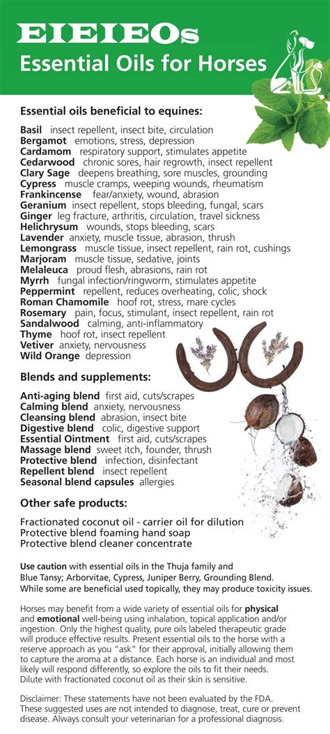 Essential Oils List For Horses Horse Therapy Equine Therapy Are