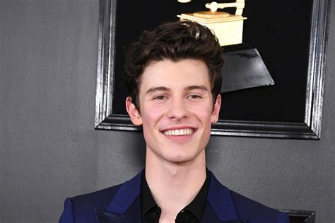 Shawn Mendes Fronts New Calvin Klein Campaign The