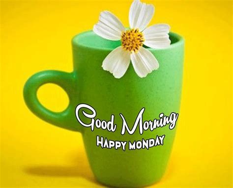 Happy Monday Good Morning Wishes With Flowers Good Morning Monday