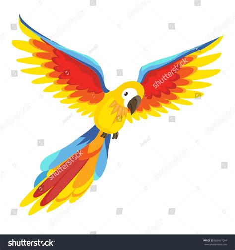 Cute Cartoon Parrot