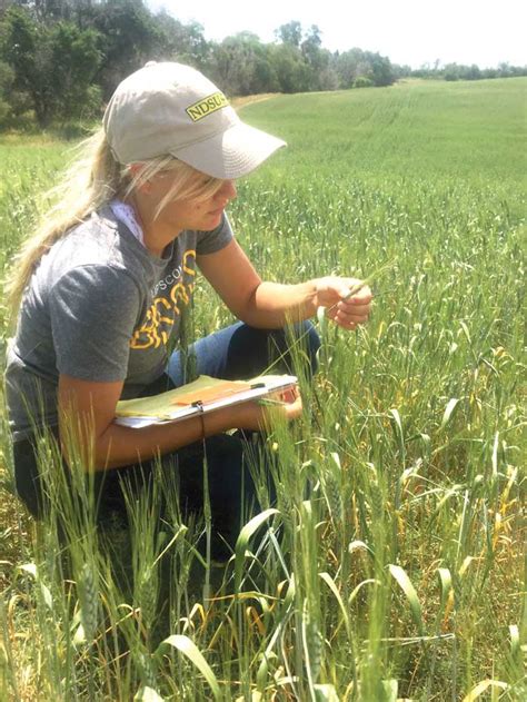 In one study integrated pest management ipm reduced (943%) the rate of insecticide application compared to the conventional spray. IPM Crop Scout Program at Williston Research Extension ...