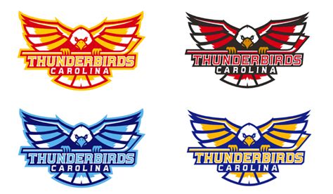 Winston Salem Welcomes New Hockey Team The Carolina Thunderbirds 88