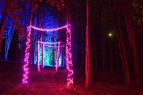 Sitlerhq Set To Produce 8th Annual Night Lights At Griffis Sculpture