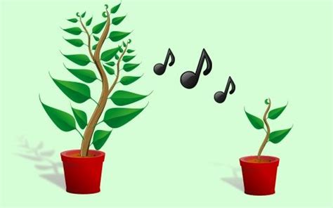Music of plants is an innovative project that allows us to communicate with nature, giving voice to our interaction with plants. Music of the Plants - A Healing Sound | WorldBeat Center ...