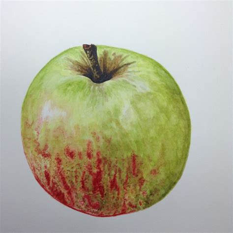 Apple Painted By Me In Watercolours Using An Anna Mason Online Video