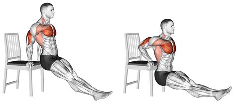 Tricep Dips To Build Arm Strength And Size A Lean Life
