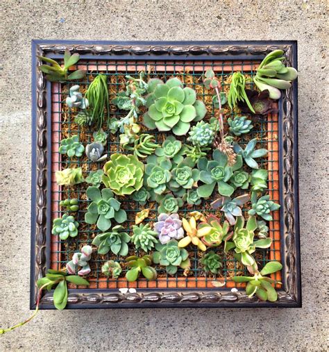 Custom Framed Succulent Wall Art By Localtimber On Etsy