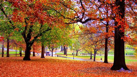 Road Autumn Leaves Trees Park Hd Autumn Wallpapers Hd Wallpapers Id