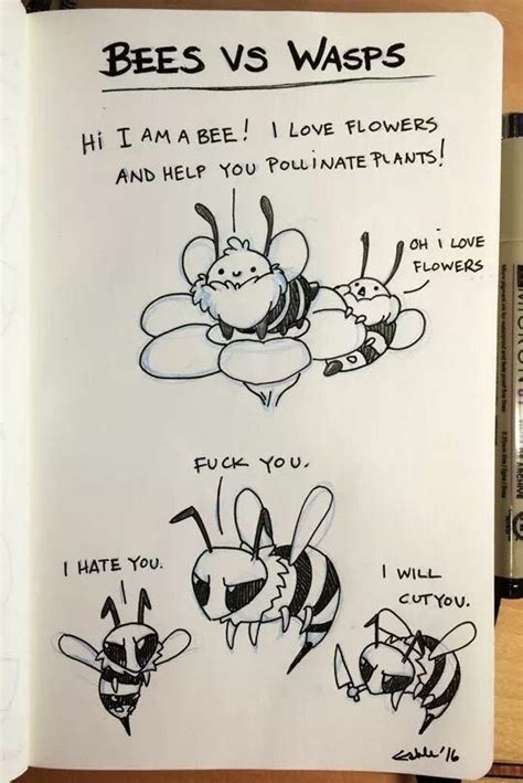 Bees Vs Wasps Meme Guy