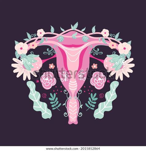 Female Reproductive System Uterus Flowers Vector Stock Vector Royalty