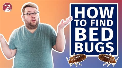Get Rid Of Bed Bugs In Steps 58 Off