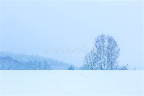 Winter Field Under Cloudy Gray Sky Stock Image Image Of Cloud