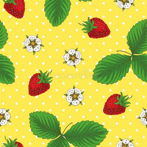 Seamless Pattern With Strawberry Stock Vector Illustration Of Food