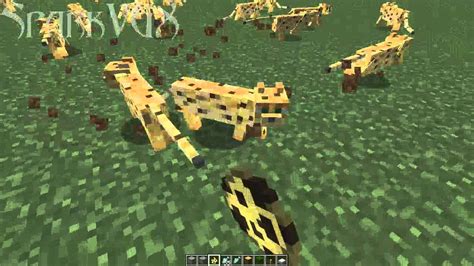 Minecraft How To Tame Ocelots