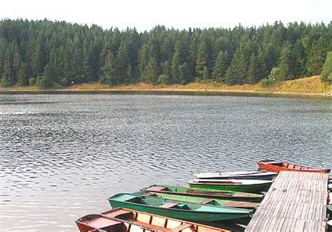 Der stausee ottenstein ist bekannt für seine reiche artenvielfalt. Stausee Ottenstein III Kamp Angeln Fischen Waldviertel ...