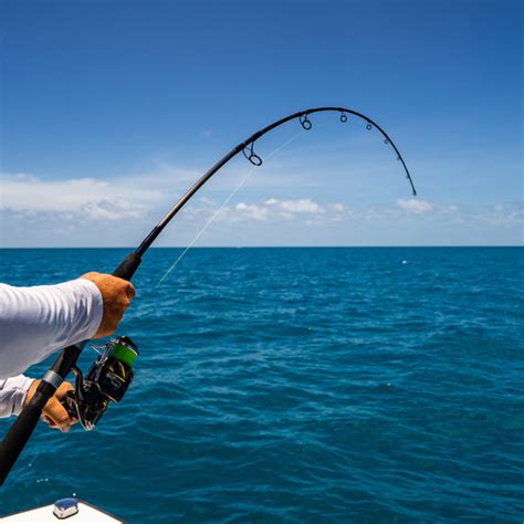 Blackfin Rods American Fishing Rods Saltwater Fishing Rods