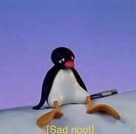 Pin By Kerrianna Wilson On Reaction Pics Pingu Memes Cartoon Memes Cute Memes