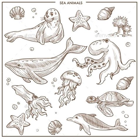 Sea Animals In The Ocean With Shells And Starfishs Miscellaneous