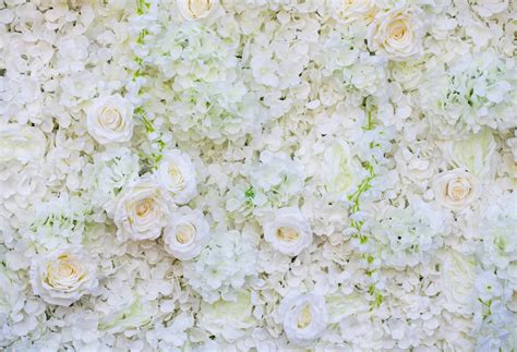 Photography Backdrops White Flowers Wall Backdrop White Roses For