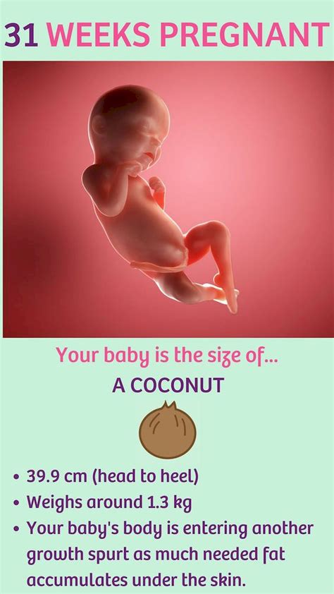 Click here to learn more about what changes you'll likely add pounds at the beginning of your third trimester. Pin on Pregnancy