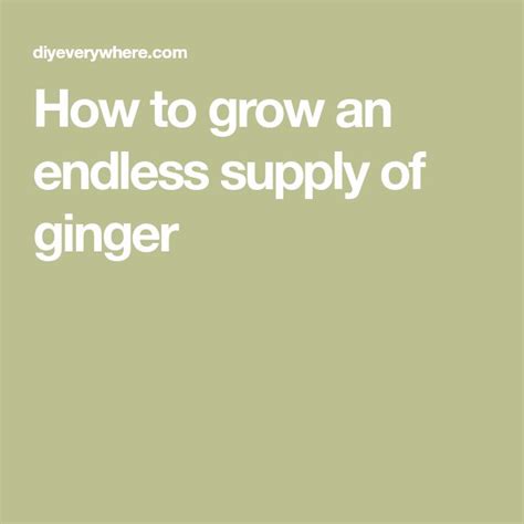 How To Grow An Endless Supply Of Ginger Banana Peel Uses Ginger Uses Growing
