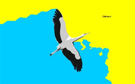 Flying Stork By Zelko