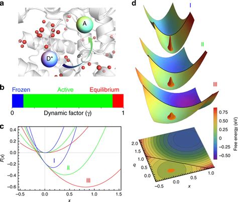 Schematic Representations Of The Ultrafast Electron Transfer Model A