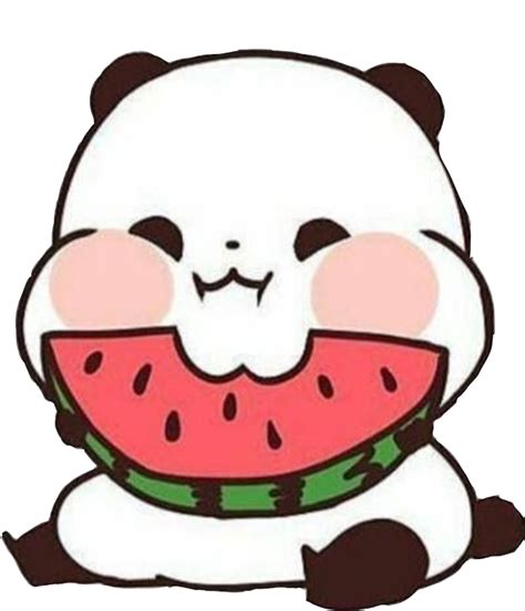 Panda🐼 Watermelon Freetoedit Panda Sticker By Angela19