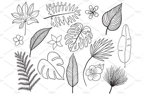 Hand drawn tropical leaves silhouette vector set. Set Leaf. Exotics. Vintage vector botanical ...