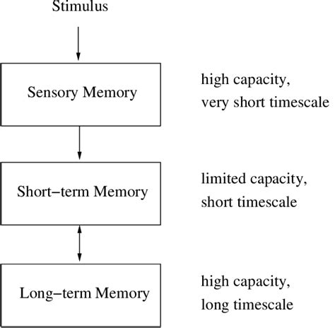 Storage of brief sensory events, such as sights, sounds, and tastes. 6: The three-box model of memory as introduced by ...
