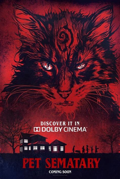 Con jason clarke, amy seimetz, jeté laurence, hugo lavoie, lucas lavoie, john lithgow, obssa ahmed, naomi frenette, alyssa brooke. Movie Review - Pet Sematary (2019)