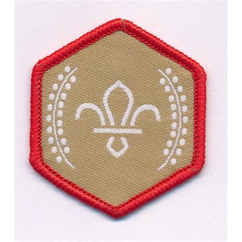 Chief Scouts Gold Award Badge Leaders