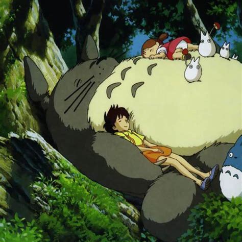 My Neighbor Totoro Pictures Pics And Images 4 Anime Cubed