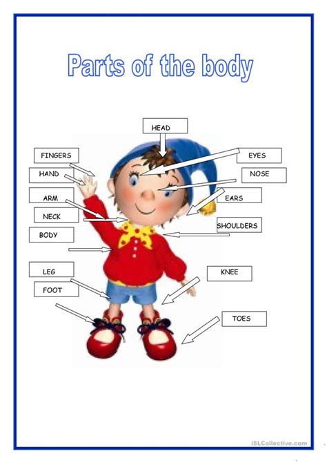 That's where input and output devices come in. Parts of the body worksheet - Free ESL printable ...