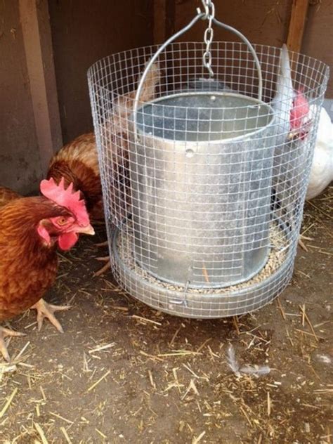 Ffaz automatic fish feeder youtube. Clever solutions to reduce chicken feed waste | The Owner-Builder Network