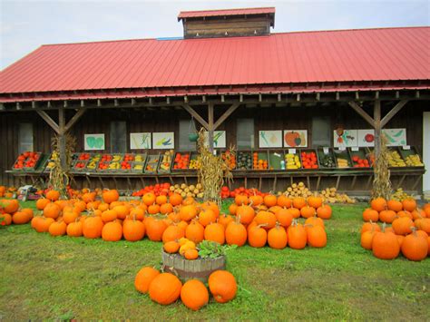Vermont Tours For Every Season Vermontology Pumpkin Pumpkin