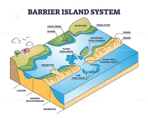 Barrier Island Systems As Dune Type And Coastal Landforms Outline
