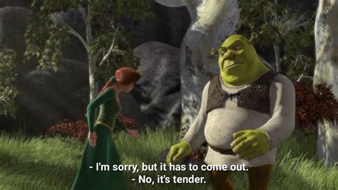 Out Of Context Shrek Jokes Rteenagers