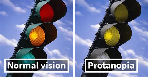 Acquired types of color blindness. You'll Be Amazed How People With Color Blindness See The ...