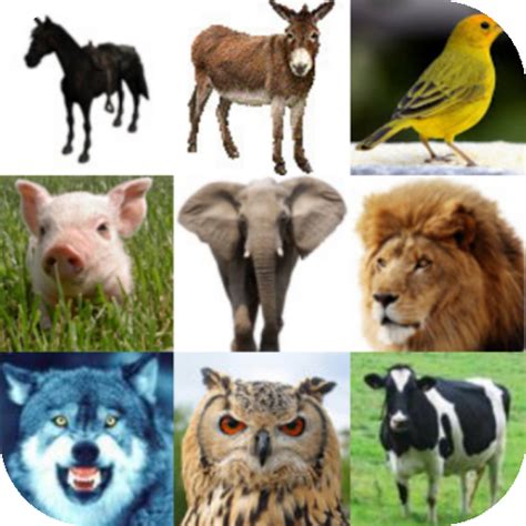 Animal Sounds Ringtones: Amazon.co.uk: Appstore for Android