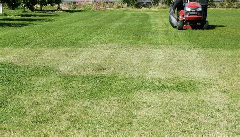 Lawn Mowing Pattern Tips Garden Guides