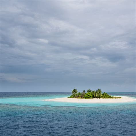Survival Guide On A Deserted Island Usa Today