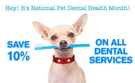 August Is Dental Health Month 26 July 2021