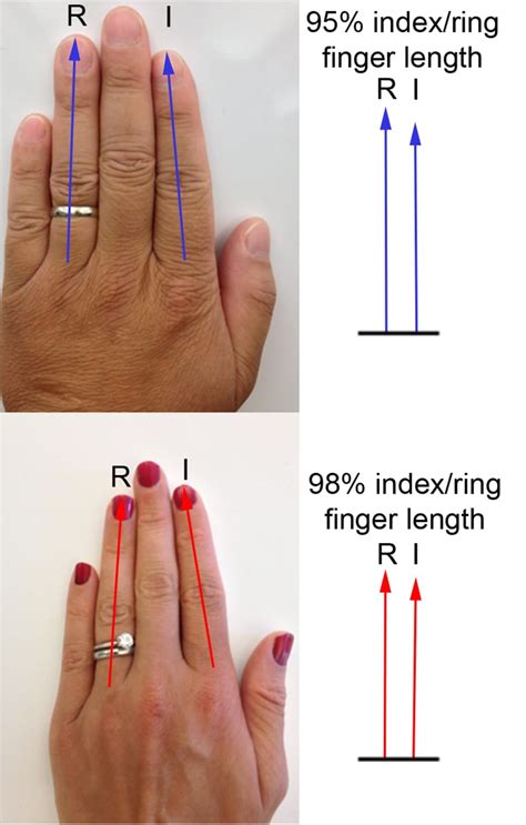 Engagement Ring Finger For Female Order Cheapest Save 56 Jlcatjgobmx
