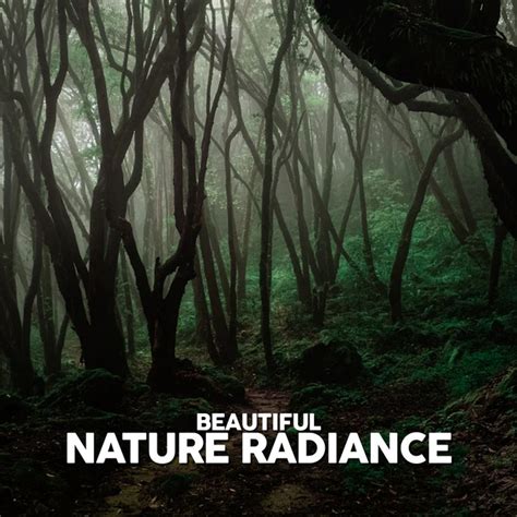 Beautiful Nature Radiance Album By Massage Music Spotify