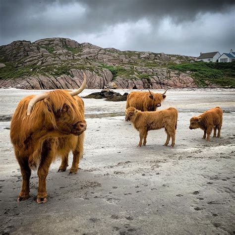 Scotland Highlands And Islands On Instagram “fionnphort Isle Of Mull