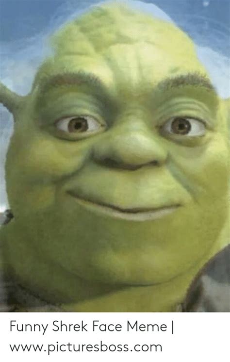 Shrek Face Meme Pigrag