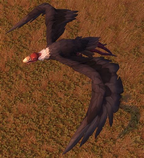 Barrens Vulture Npc World Of Warcraft