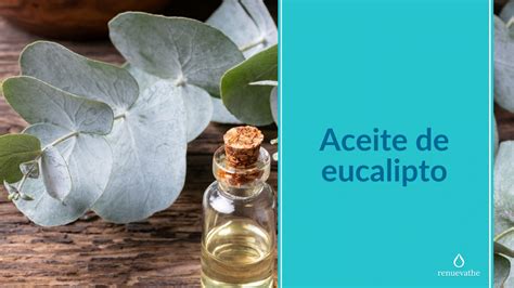 Aceite De Eucalipto Guia Completa Sobre Sus Beneficios Y Usos